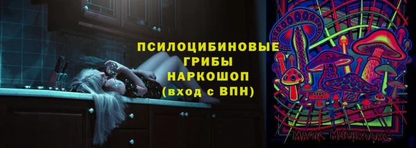 спиды Алзамай