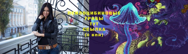 спиды Алзамай